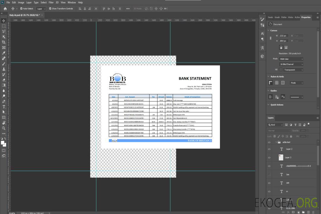 Relevé bancaire de la Bhoutan Bank of Bhoutan, modèle facile à remplir au format Excel et PDF template